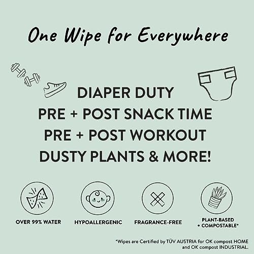 Unscented 99% Water Compostable Plant-Based Baby Wipes 720 Count C87531