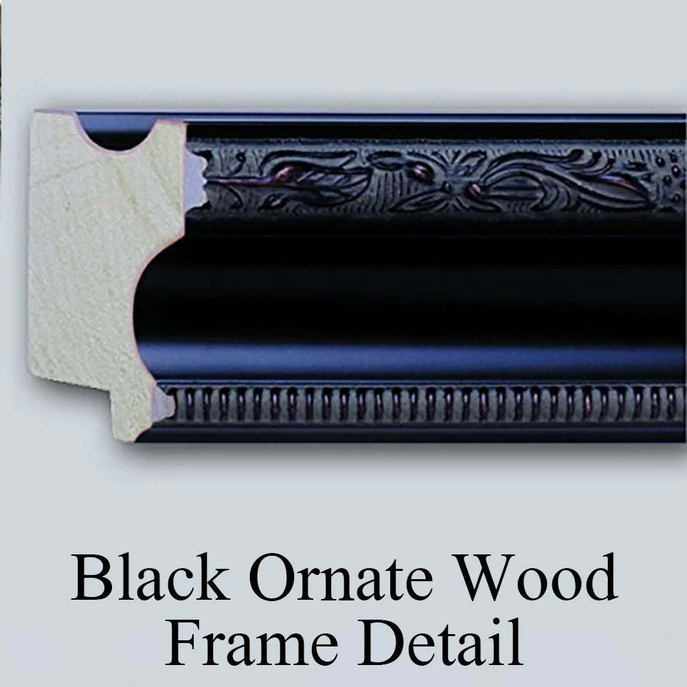 Black Ornate Framed Art Print W136