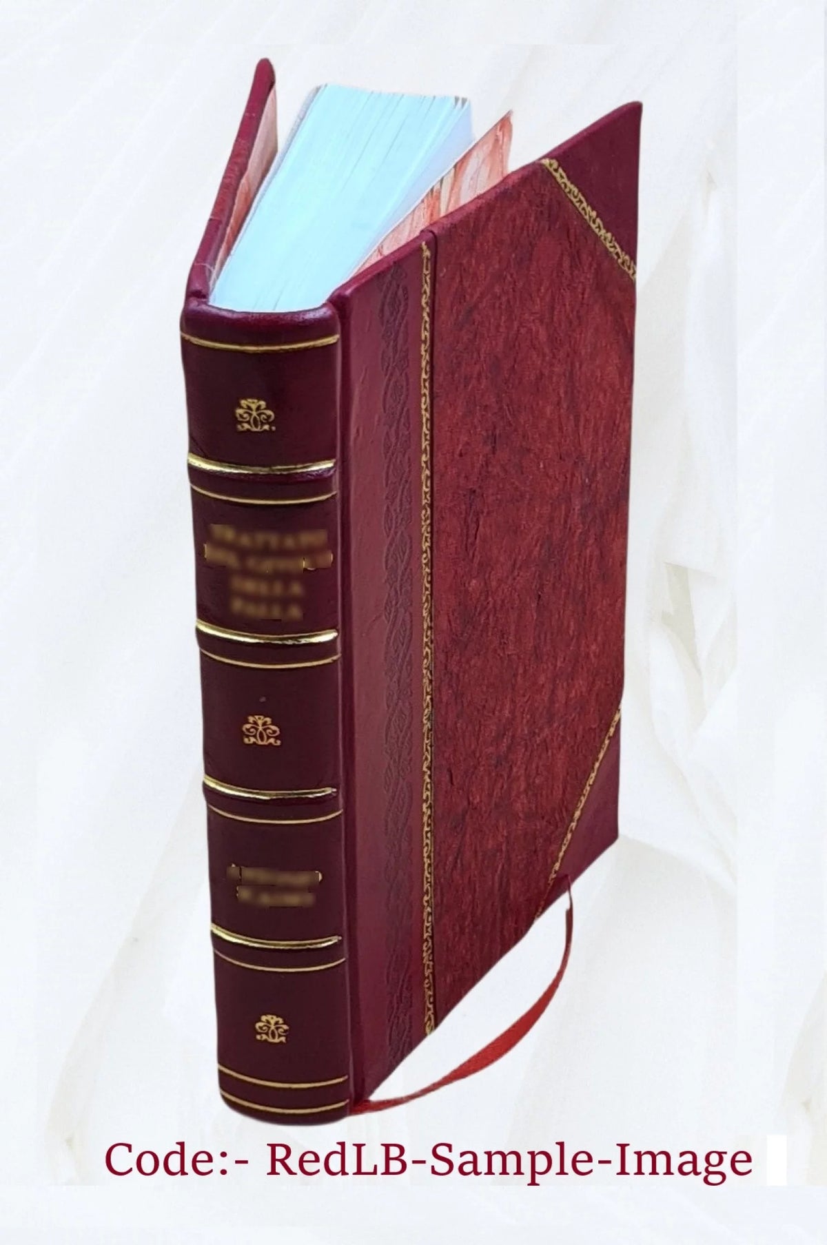 Diario sacro, e perpetuo Z9295