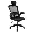 Black Ergonomic High Back Mesh Office Chair with Lumbar Support E36492