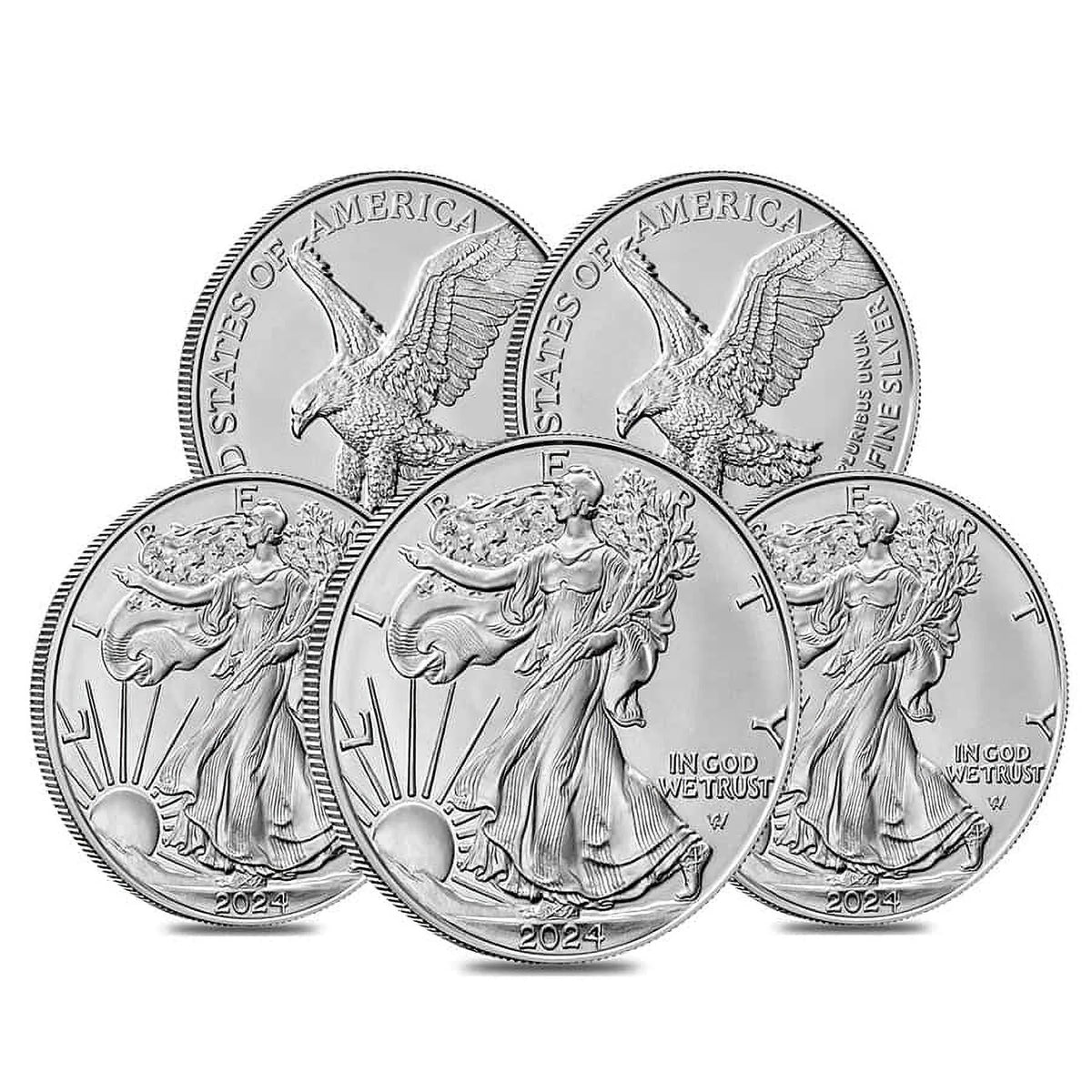 1 oz Silver American Eagle Coin N174940