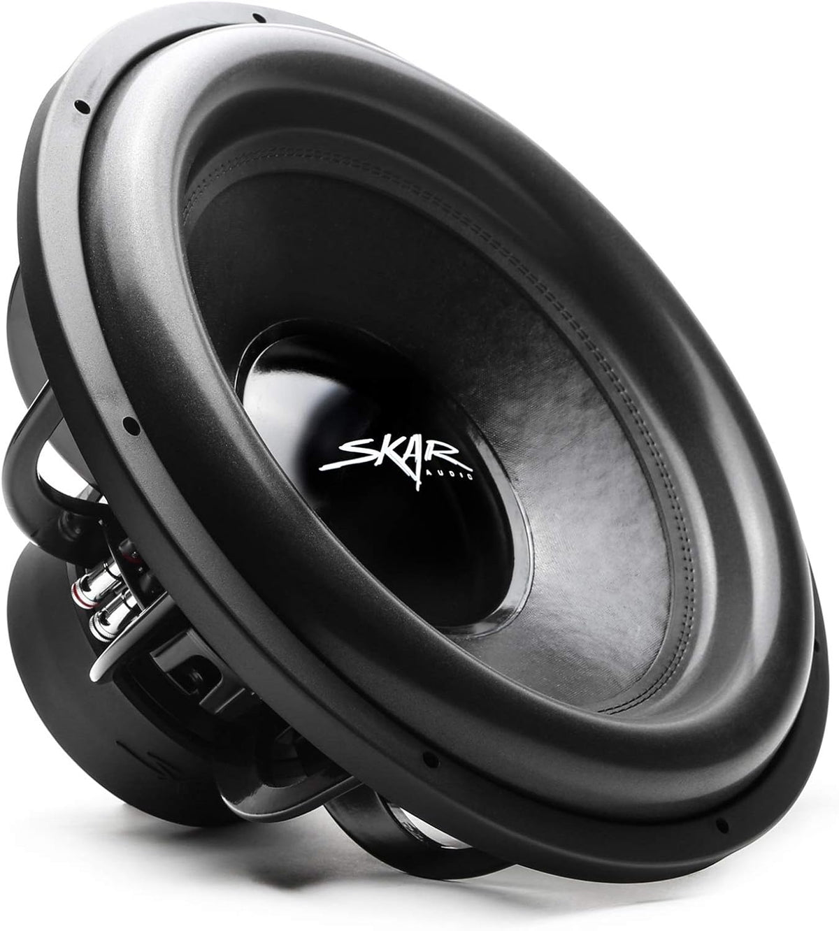 12 Dual 2 Ohm Car Subwoofer Y986