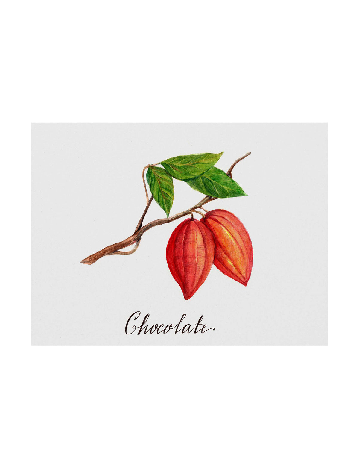 Canvas Art 35x47 Brown C333994