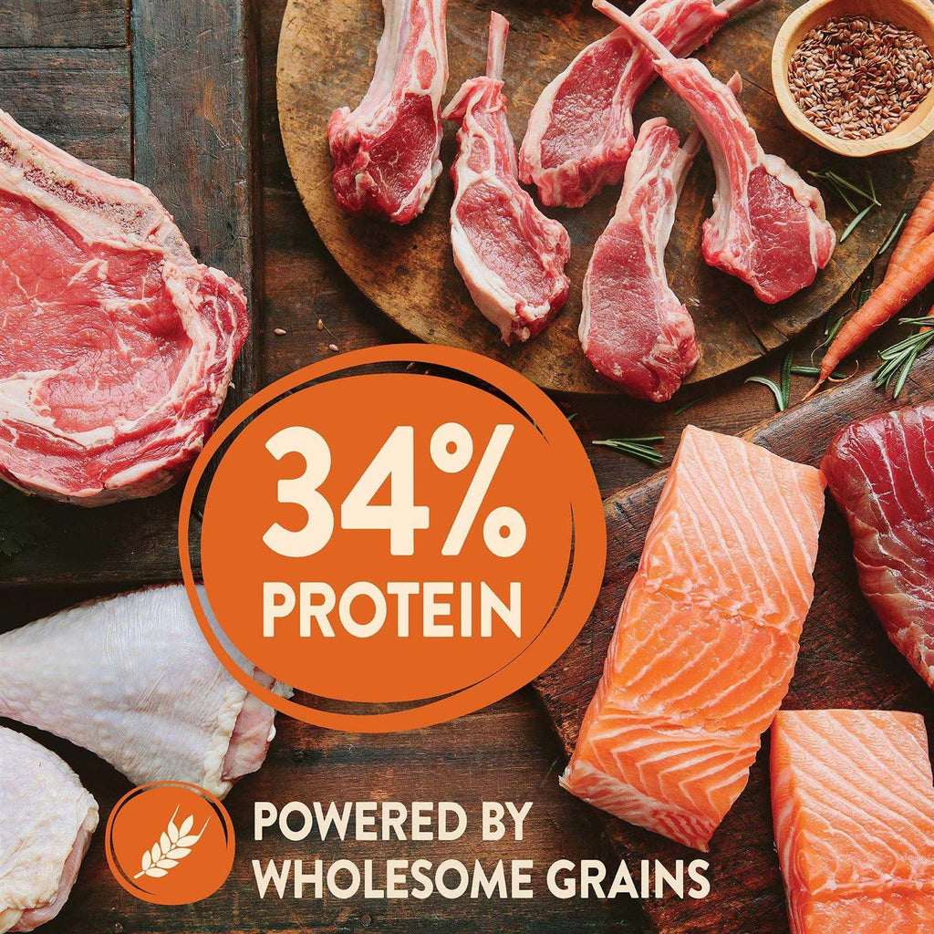 High Protein Wholesome Grains Dry Dog Food D6341
