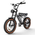 750W 48V 15Ah Electric Bike with 20 4.0 Fat Tire C119470