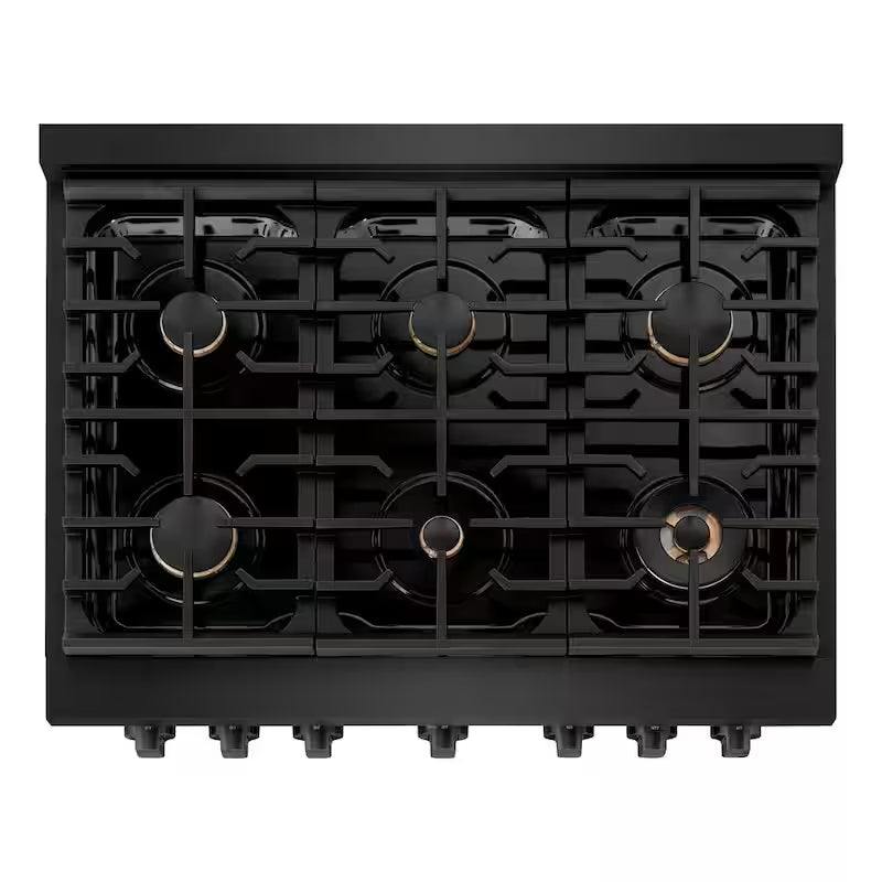 6 Burner Freestanding Gas Range with Convection Oven in Black Stainless Steel N819721