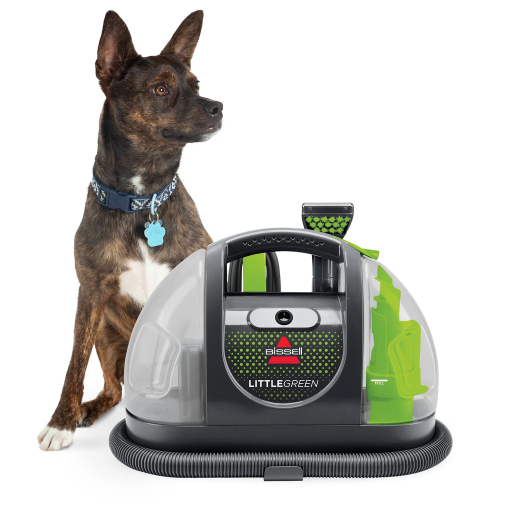 Portable Carpet Cleaner V241