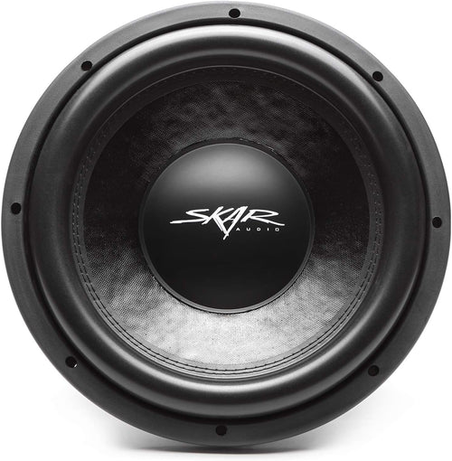 12 Dual 2 Ohm Car Subwoofer Y986