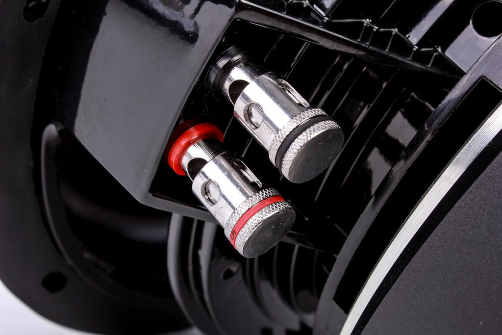 12 Dual 2 Ohm Car Subwoofer Y986