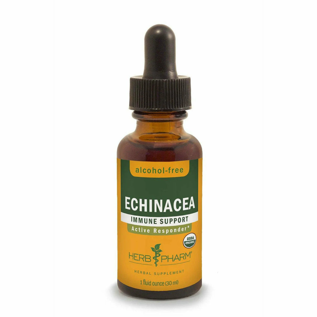 Echinacea Alcohol-Free E4749