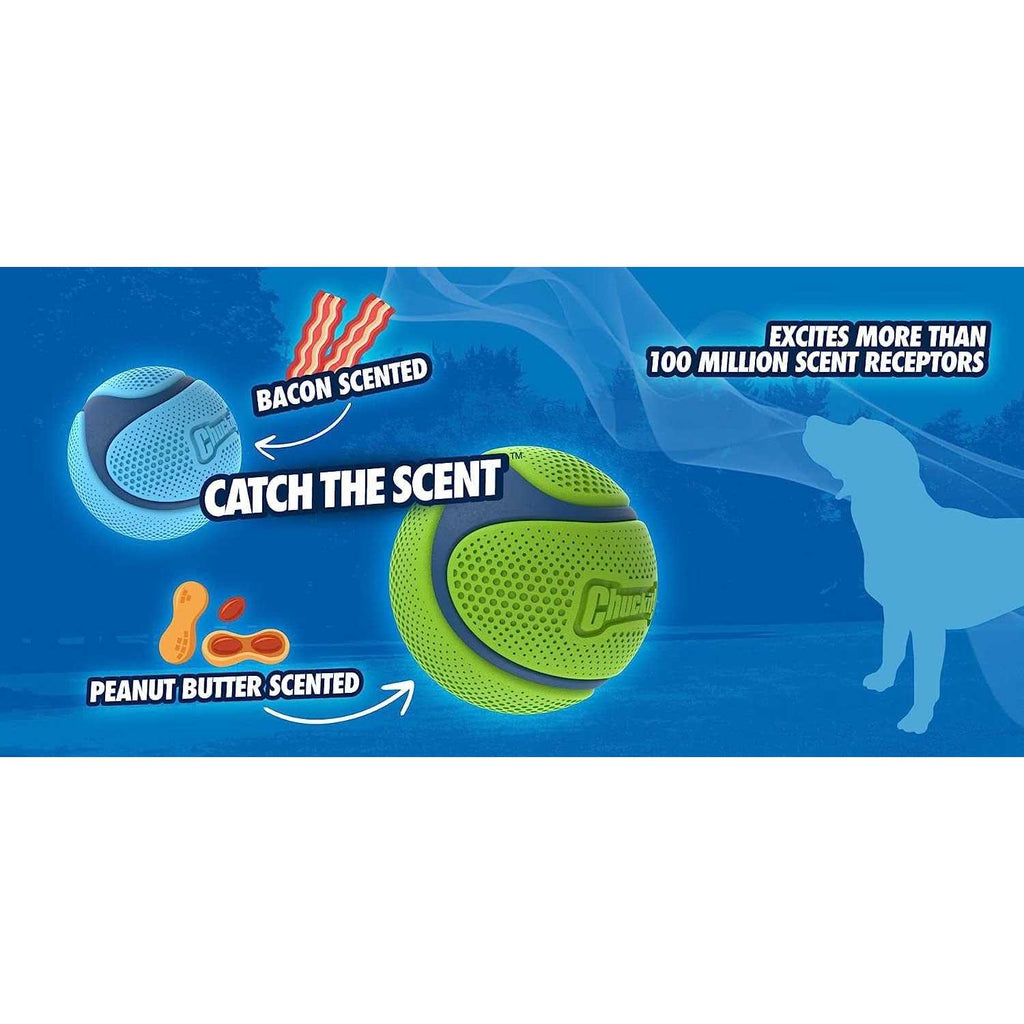 Sniff Fetch Ball Dog Toy R45114