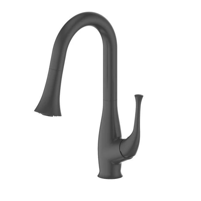 Matte Black Kitchen Faucet E5237