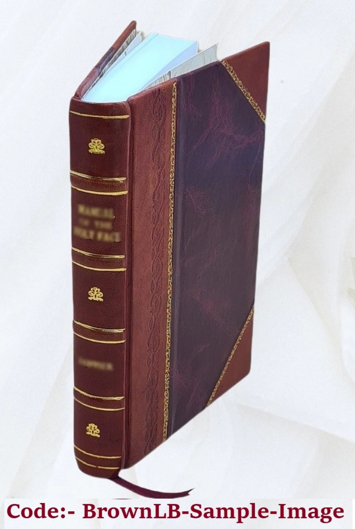 Sister Gertrude Mary Mystic Diary C81180