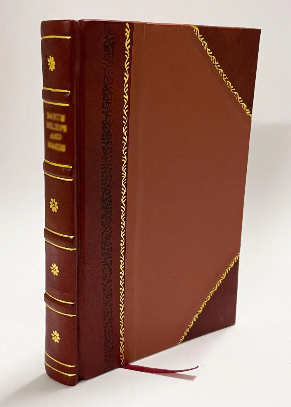 Minéraux Pierres Précieuses Taillées Leather Bound Q33763