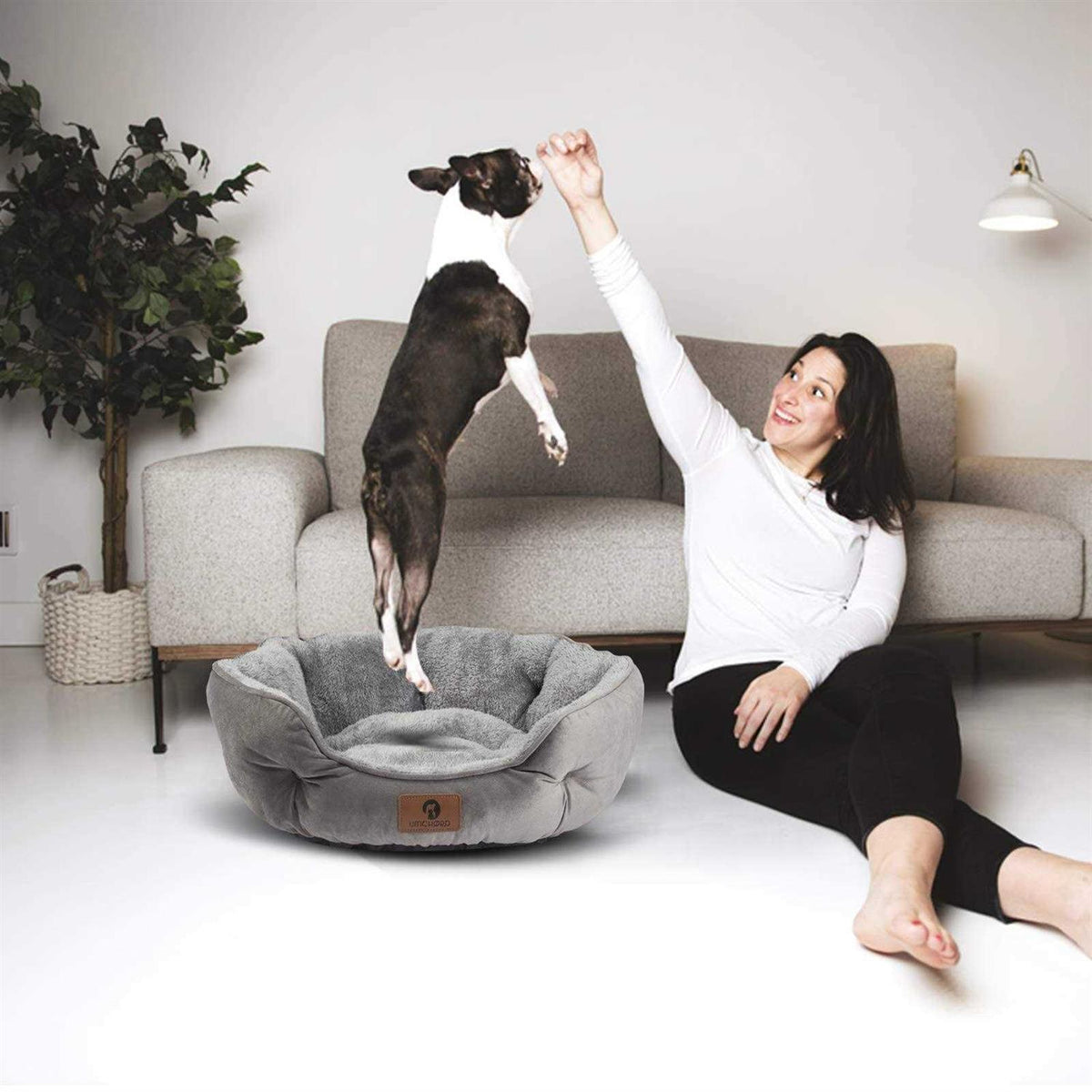 Small Dog Bed Cat Bed Pet Bed O46358