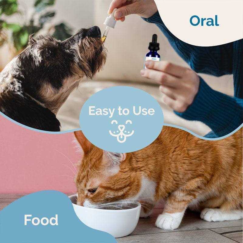 Herbal Dewormer for Dogs M404948