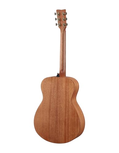 Acoustic Guitar M50922