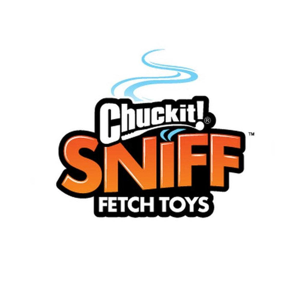 Sniff Fetch Ball Dog Toy R45114