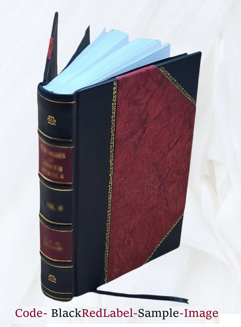 Diario sacro, e perpetuo Z9295