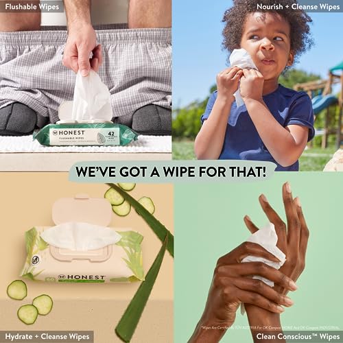 Unscented 99% Water Compostable Plant-Based Baby Wipes 720 Count C87531